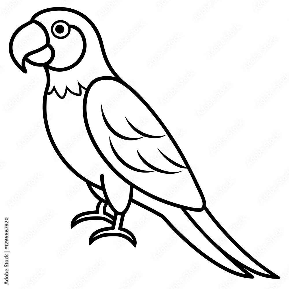 Macaw Line Art Vector Design Macaw Line Art Vector Design