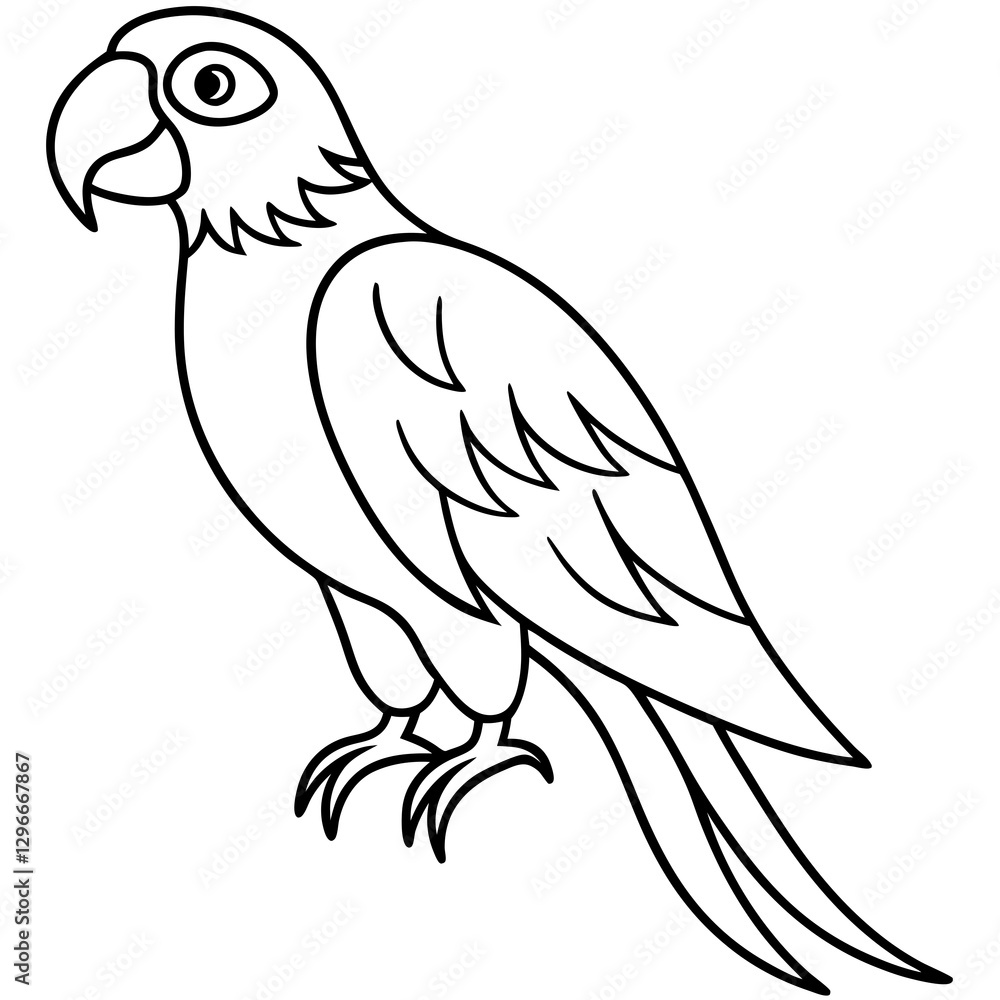 Macaw Line Art Vector Design Macaw Line Art Vector Design