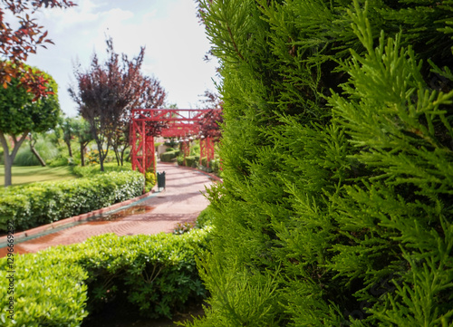 View of a beautiful park with cypress in the foreground, red pergola surrounded by trees and shrubs photo