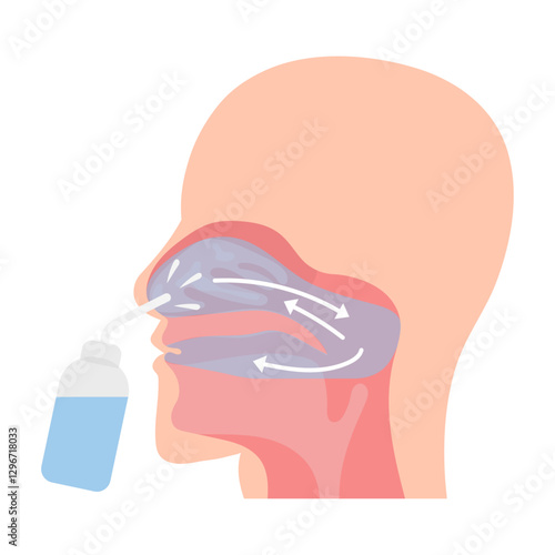 Irrigation of nasal passages. Relief and treatment from allergies, reducing inflammation, cleaning the nasal passages, hydration, improvement of nasal function