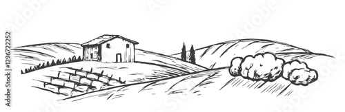 Hand-drawn sketch illustration of a Tuscany landscape, featuring rolling hills, agricultural fields, and rustic charm. Perfect for travel, farm, and countryside-themed designs.