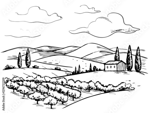 Hand-drawn sketch illustration of a Tuscany landscape, featuring rolling hills, agricultural fields, and rustic charm. Perfect for travel, farm, and countryside-themed designs.