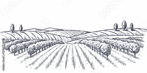 Hand-drawn illustration of a vineyard landscape, showcasing rolling hills, farm fields, and lush grapevines. Perfect for agricultural, wine, and countryside-themed designs.