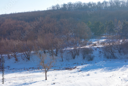Serene winter landscape with single tree standing in foreground, surrounded by snow-covered field. Hillside covered in bare trees contrasts against white snow, creating peaceful and tranquil scene