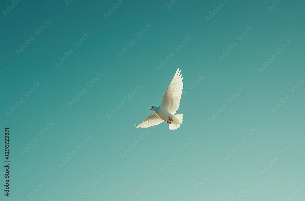 Fototapeta premium Beautiful white bird flying gracefully against a serene blue sky, symbolizing peace, freedom, and tranquility in nature's vast expanse