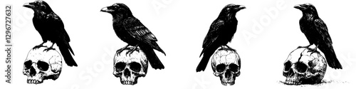 Black crows perched on skulls in a hand-drawn vector illustration showcasing the theme of life and death in a gothic style