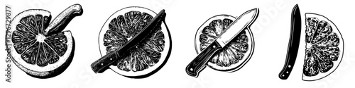 Intricate hand-drawn vector illustration of slicing a fresh lemon with a knife on a wooden table