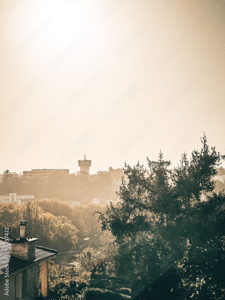 Cultural Hub of Poitiers: Roaming the Streets of Downtown France