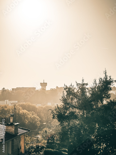 Cultural Hub of Poitiers: Roaming the Streets of Downtown France