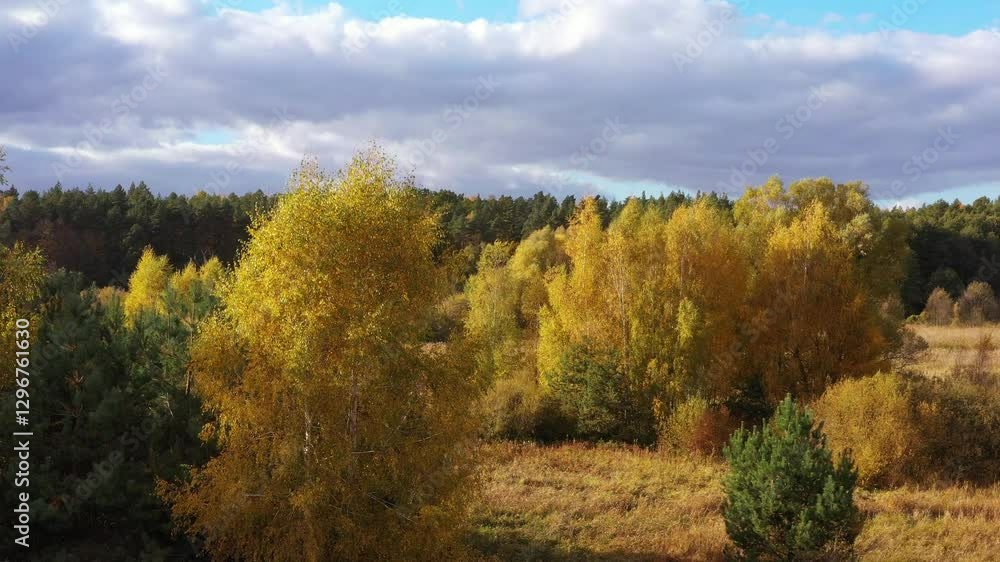 Aerial landscape of autumn lakes and forests in the Kociewie region, Poland. Aerial landscape of autumn lakes and forests in the Kociewie region, Poland.