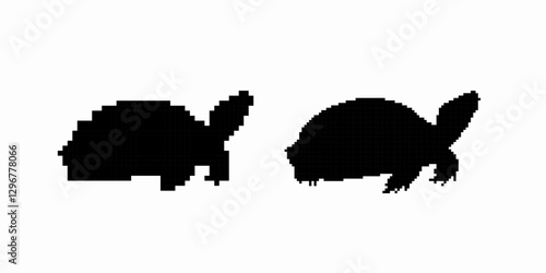 Two turtle silhouettes are shown, emphasizing unique shell shapes and distinct head positions.