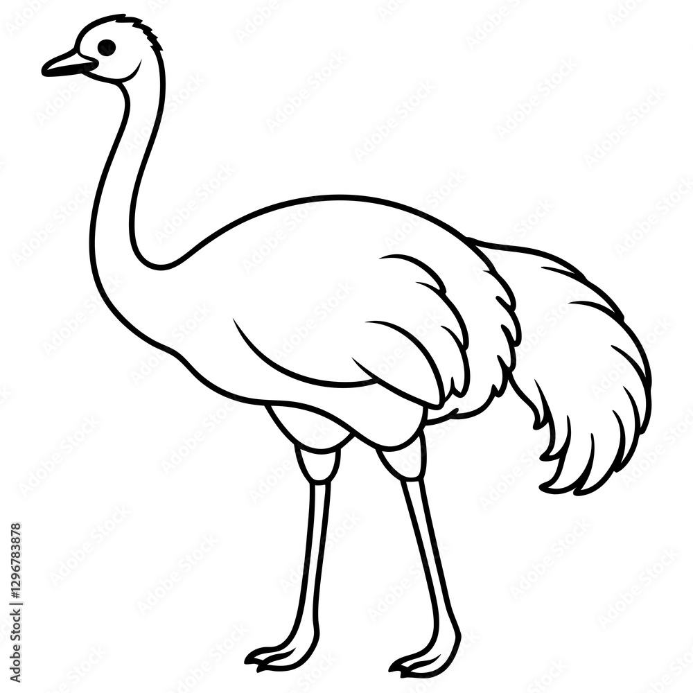 Modern Ostrich Line Art Vector Modern Ostrich Line Art Vector