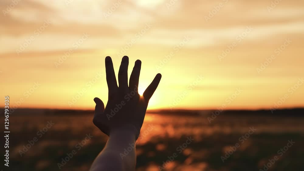 Woman stretched out hand sunset silhouette. Palm arm towards sun catching rays of evening morning dawn light in field meadow. Girl dreamily wistfully reaches for yellow orange sunshine with fingers Woman stretched out hand sunset silhouette. Palm arm towards sun catching rays of evening morning dawn light in field meadow. Girl dreamily wistfully reaches for yellow orange sunshine with fingers