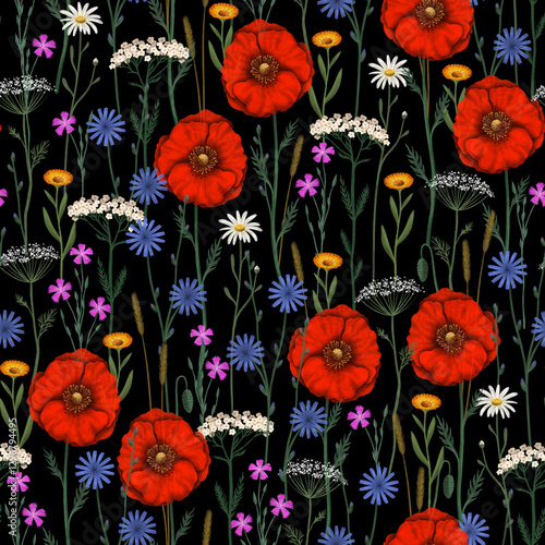 Wildflower Meadow with Red Poppies, Daisies, and Herbs – Seamless Botanical Pattern on Black Background