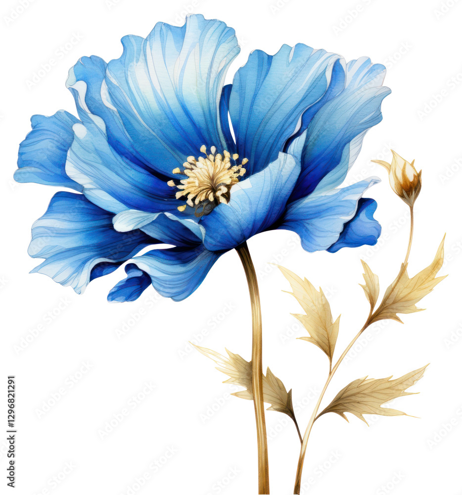 Fototapeta premium PNG Blue flower watercolor and golden line art petal plant inflorescence.