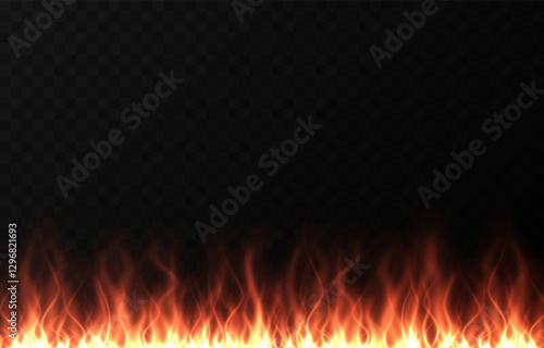 Vector fire png. Fire or bonfire on a transparent background. Fire background.