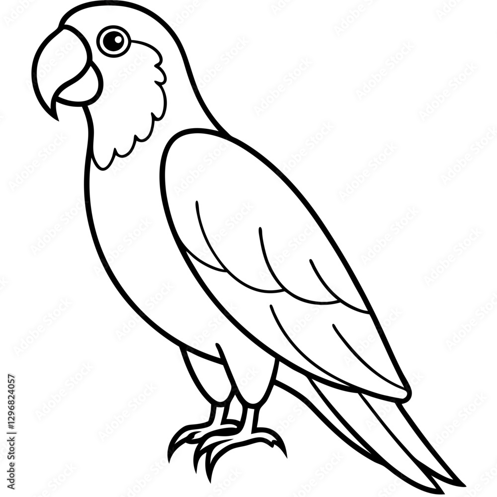 Parrot Outline Vector Artwork Parrot Outline Vector Artwork