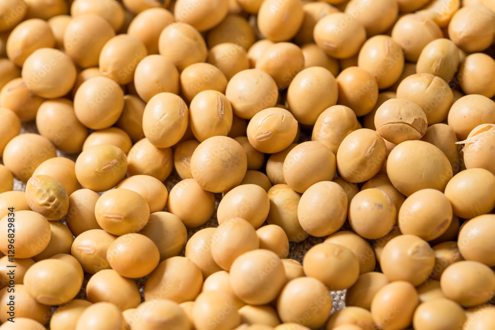 Dry Organic Raw Soy Beans Dry Organic Raw Soy Beans