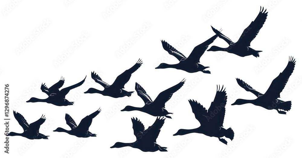 PNG Silhouetted flying ducks illustration PNG Silhouetted flying ducks illustration