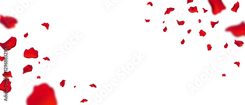 An elegant design of rose petals falling gently, evoking romance and sophistication, perfect for weddings, Valentines Day, and spa themes.