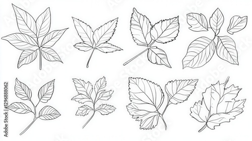 Botanical Bounty: A collection of diverse leaf illustrations showcase intricate detail and form, inviting a deeper appreciation of nature's design.