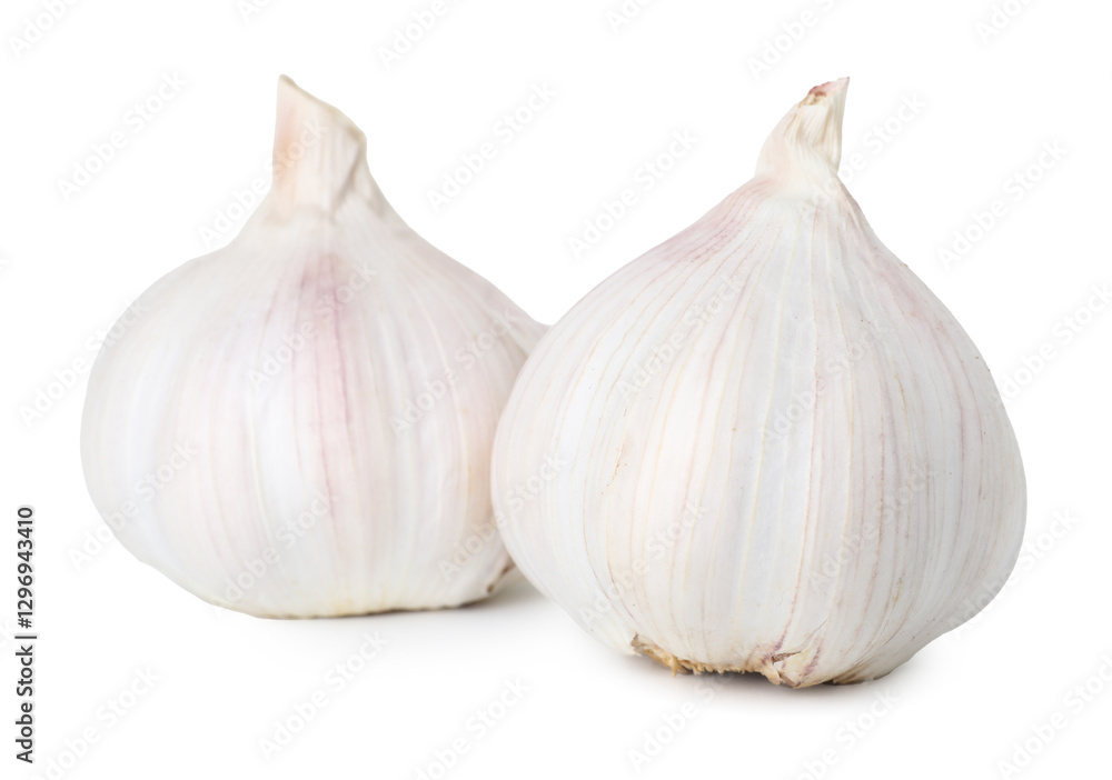 Fresh garlic bulbs isolated on white. Vegetable root Fresh garlic bulbs isolated on white. Vegetable root