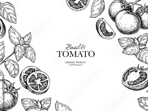 Tomato and basil leaves label drawing. Whole, sliced tomatoes, basil branch frame sketch Package design template, banner