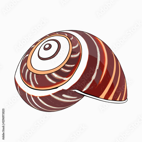 Snail shell white background vector  illustration