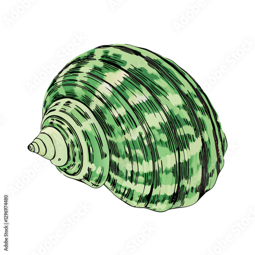 Closeup of a Brown Starfish on  Transparent Background vector  illustration (1)
