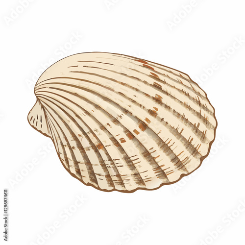 Close-up of seashell against white background vector  illustration