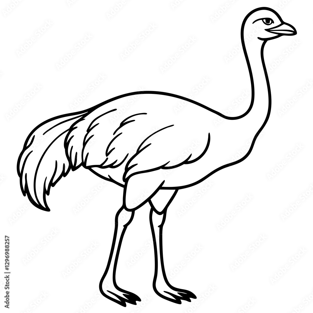 Sleek Ostrich Outline in Vector Style Sleek Ostrich Outline in Vector Style