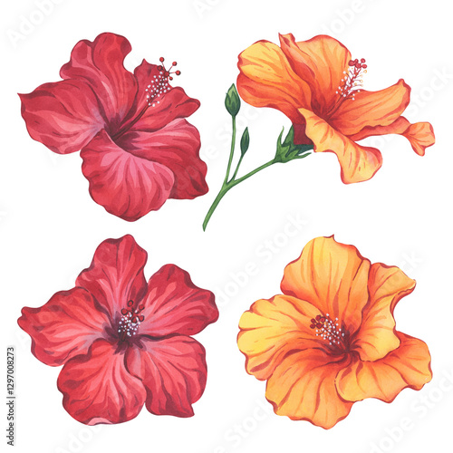 Wallpaper Mural Red and Orange Hibiscus Flowers Watercolor Set Torontodigital.ca