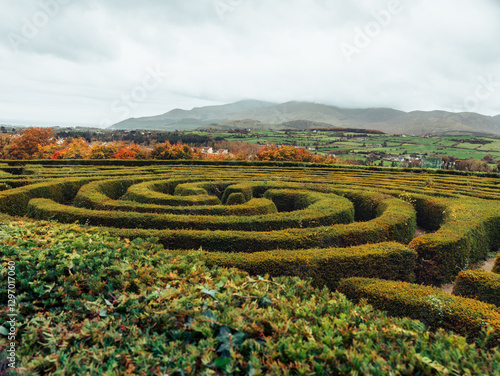 A circular labyrinth built out of shrubs with a sweeping green hillside in the background on a cloudy autumn day. 