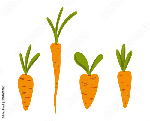 Set hand drawn carrots, vegetable illustration, cute food art collection vector illustration