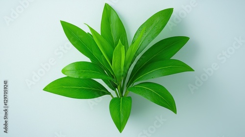 Wallpaper Mural Fresh Green Leaves on Light Background for Nature and Wellness Themes Torontodigital.ca