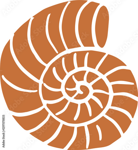 Vintage nautilus shell illustration 