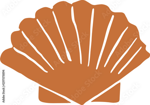 Vintage seashell illustration 
