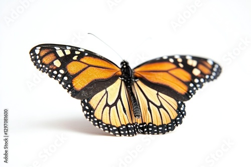 A close-up of a colorful butterfly perched on a white surface, perfect for use in designs related to nature and wildlife photo