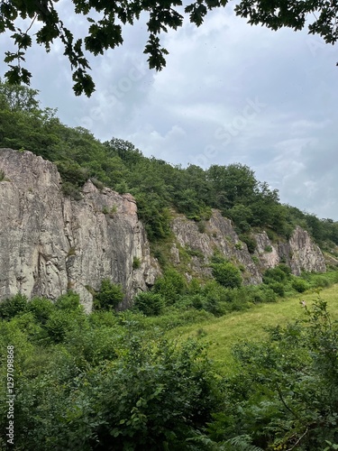 mountain landscape with trees