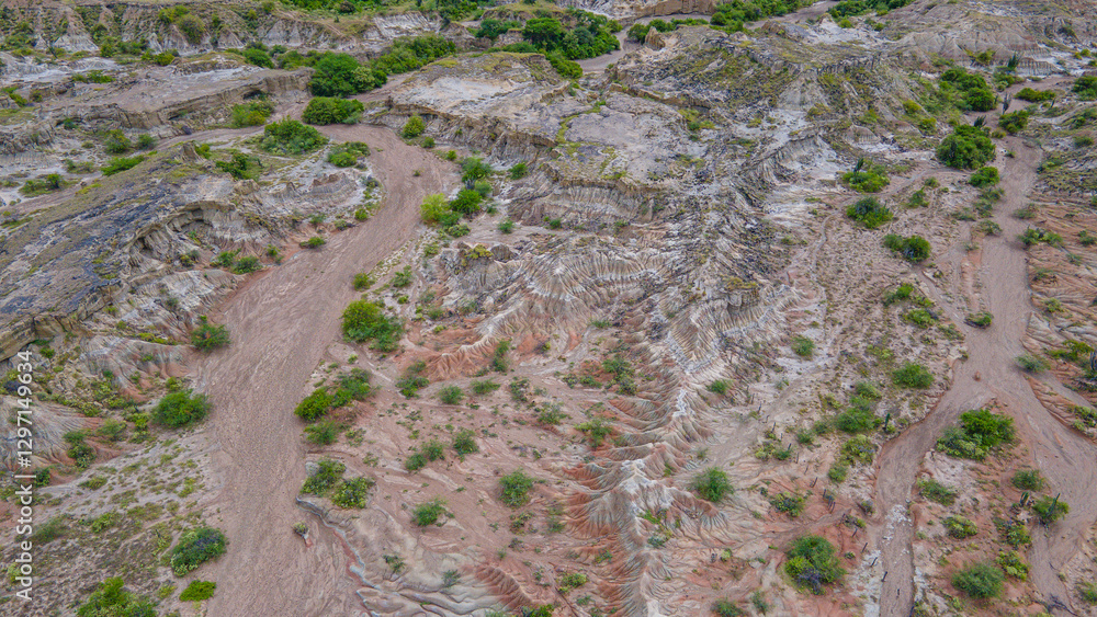 Aerial View of Unique Rock Formations and Canyons in the Tatacoa Desert, Huila, Colombia Aerial View of Unique Rock Formations and Canyons in the Tatacoa Desert, Huila, Colombia