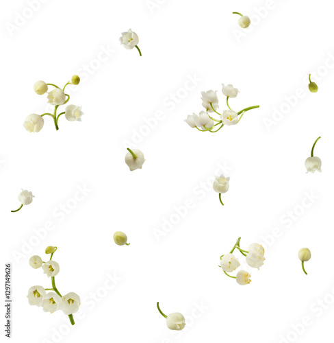 Beautiful Lily of the valley flower falling in the air isolated on white background. levitation or zero gravity floral conception. High resolution image.