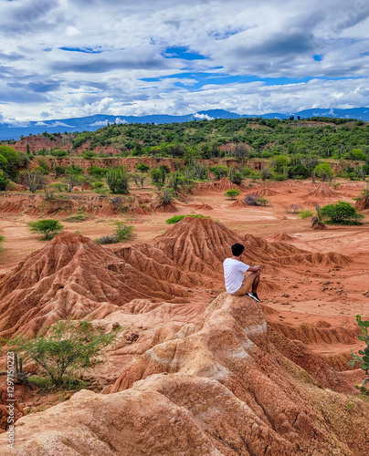 Stunning View over the Unique Terrain of Desert of Tatacoa in Huila, Colombia with Cacti and Rocky Landscapes photo