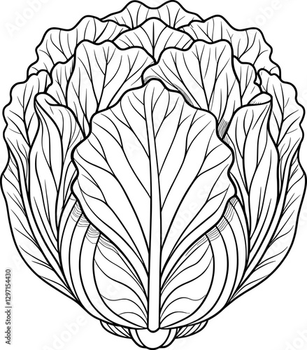 Radicchio Coloring Page – Black and White Line Art