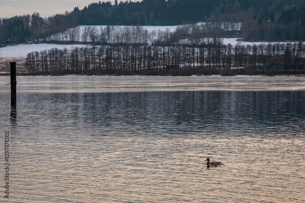 Winter mood on the frozen Lipno Dam. Czech Republic