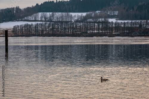 Obraz na płótnie Winter mood on the frozen Lipno Dam. Czech Republic w salonie