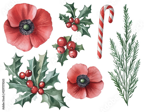 Christmas holly, red poppies, and candy cane illustration