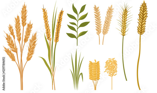 Minimalist Flat Vector of Harvested Wheat, Rice Stalks, and Rye Cereal Grains