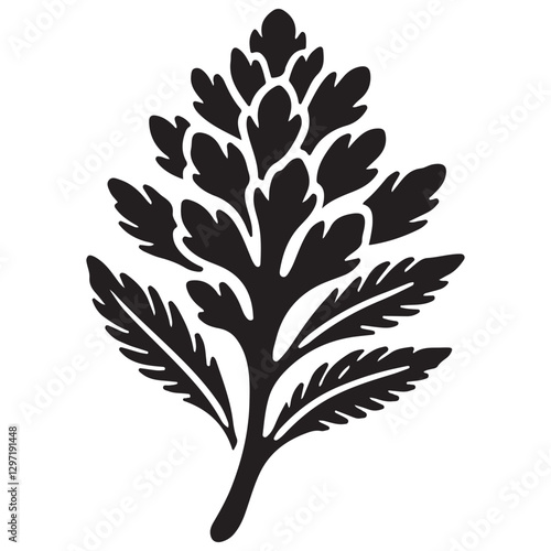Botanical Parsley Vector Illustration Aromatic Herb and Culinary Ingredient