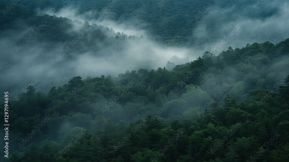 Aerial perspective of a lush forest enveloped in mist, showcasing nature s peacefulness and calmness Aerial perspective of a lush forest enveloped in mist, showcasing nature s peacefulness and calmness