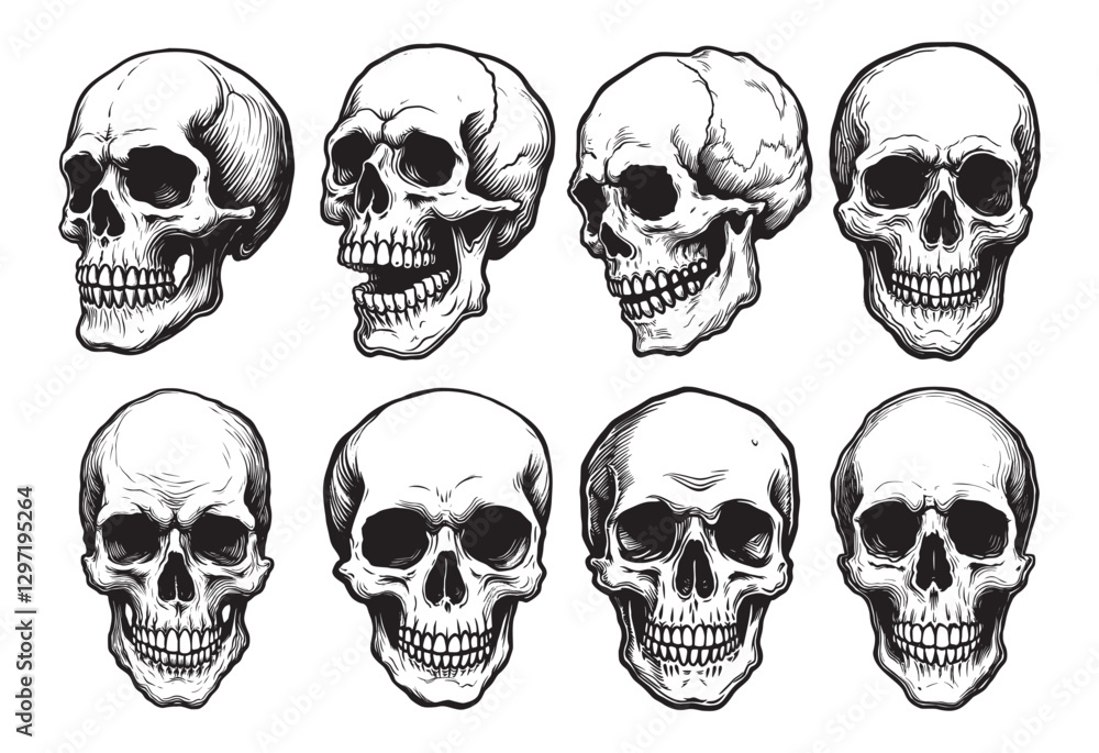 Vector human skull illustrations with various expressions on white background. Black and white anatomical drawing set.